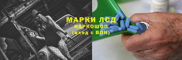 стаф Медвежьегорск