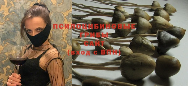 прущая мука Медногорск
