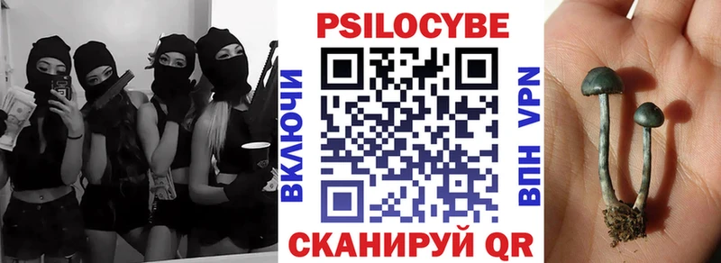Галлюциногенные грибы Psilocybe  Тотьма 